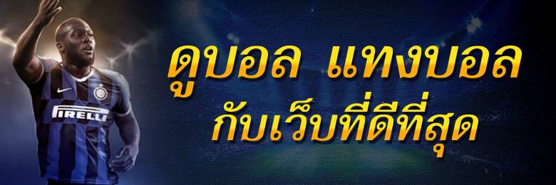 เเทงวัวชน